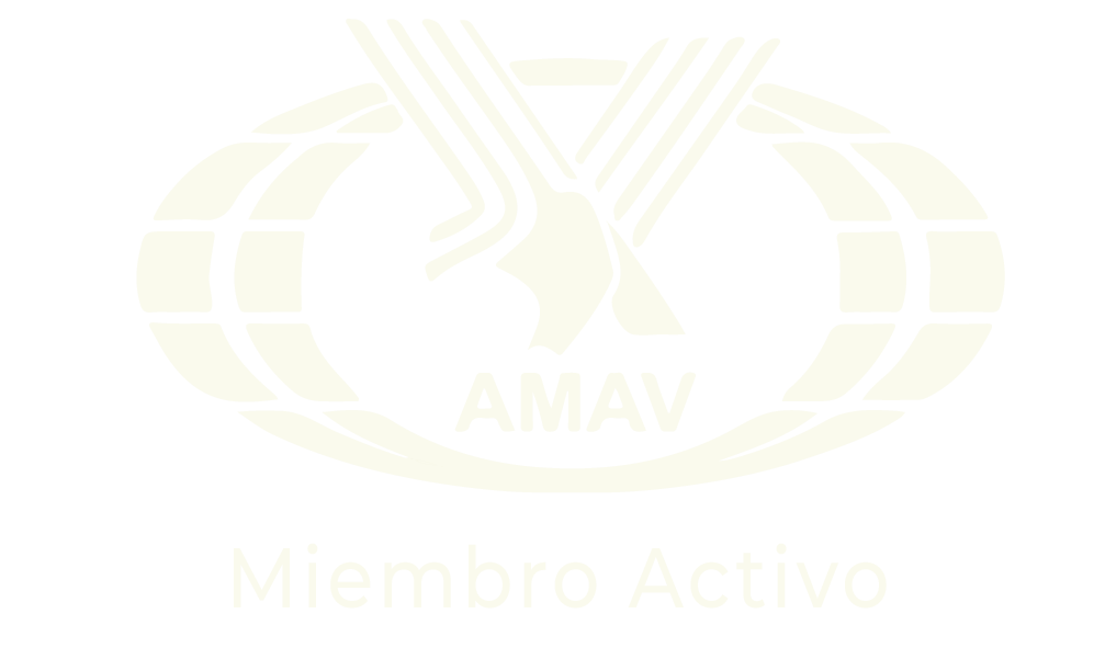 AMAV Miembro Activo